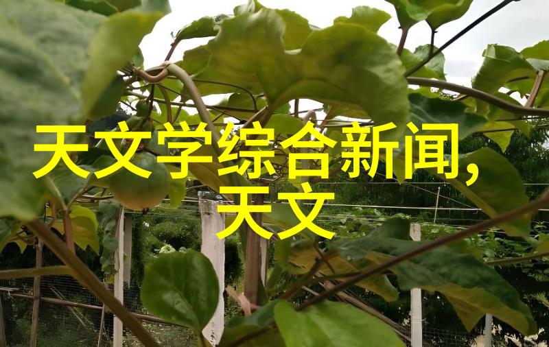 大型制水机市场价格波动多少钱一台