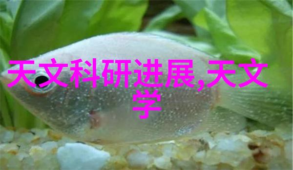 妖仙魅世穿越之旅与神秘的世界