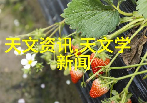 家居美化房子装修顺序与细节注意事项