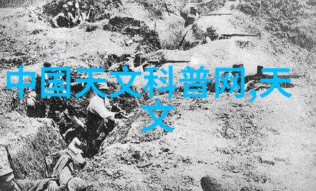 张珊珊检测机构提供哪些服务类型