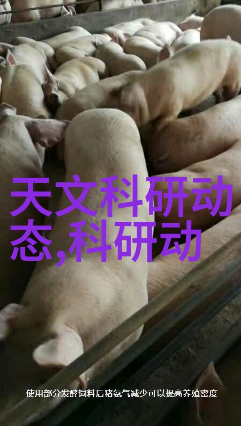 喷漆水帘柜我家的浴室小改造从老旧到新潮的奇迹变身