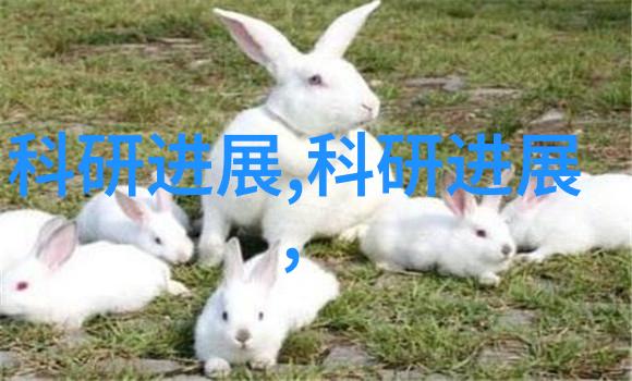tds水质检测仪精准监测水质质量的必备工具