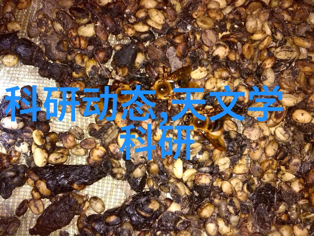 第一财经深度分析金融市场动态