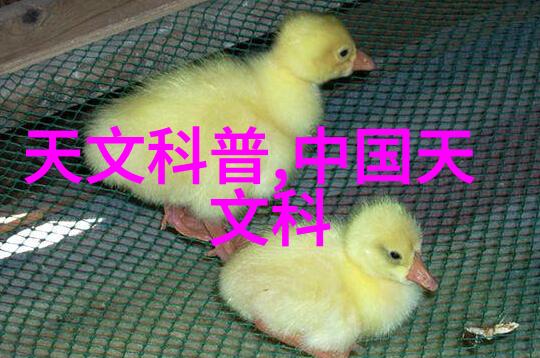 饮用水TDS标准解析确保每一口清甜的水源