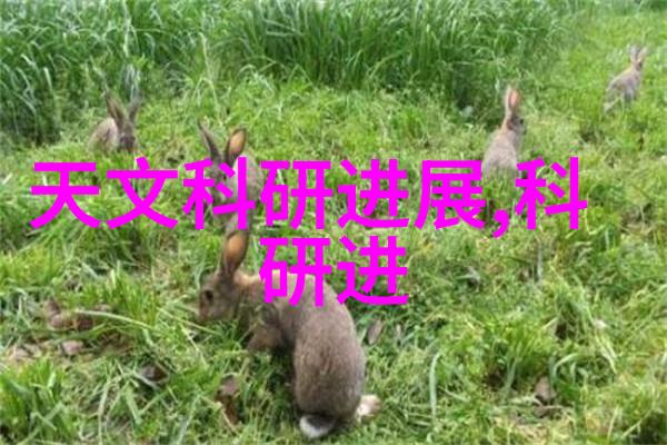 卫生级隔膜阀在药品生产中的重要作用