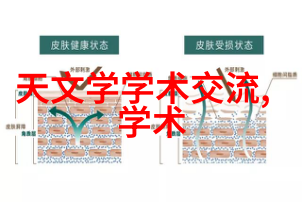 社区服务与社会责任感大学生的公益项目实施报告撰写指南