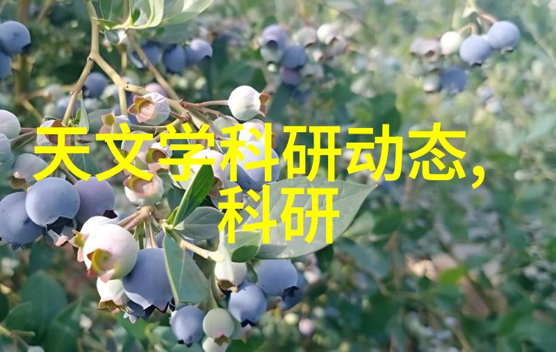 布袋除尘器的布袋厂家清新空气的守护者与选择者