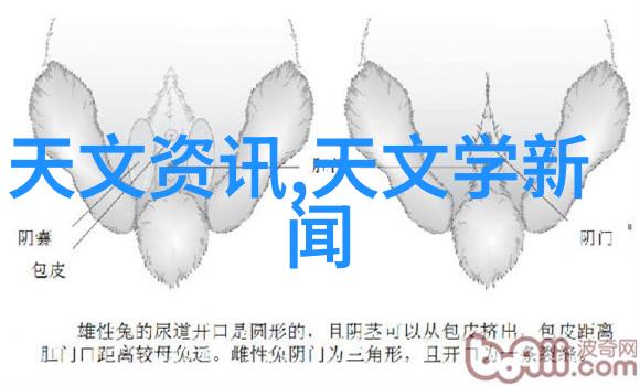 填料塔游戏一个充满挑战的益智类电子游戏