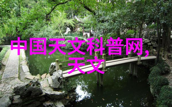现在市面上哪些电视能与TCL相提并论夺得中国音视频产业大会科技创新奖呢