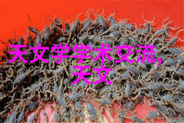 人才成长的引擎北森测评系统解析