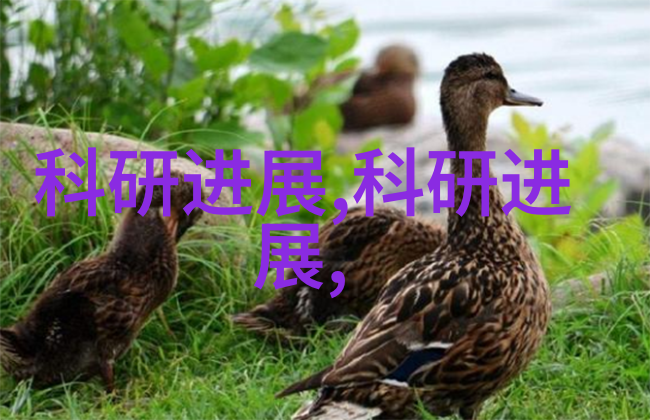 诊所梦想空间一幅健康之韵的抽象诗篇