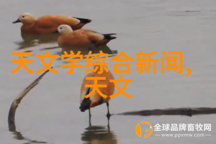 实验室中使用不同类型的水分测试装置比较研究