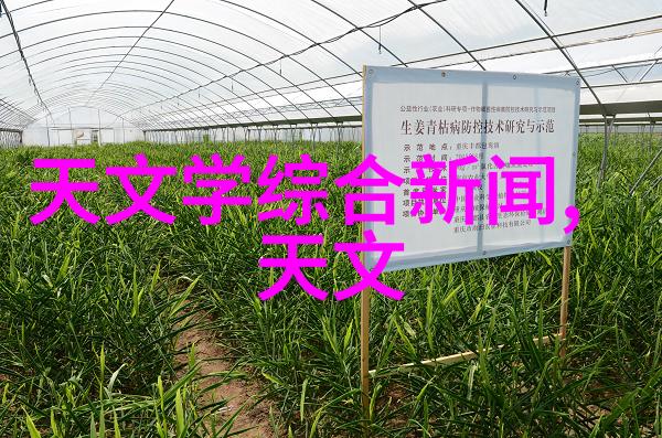 儿子答应一次后的难题解决之道如何有效管理孩子的承诺