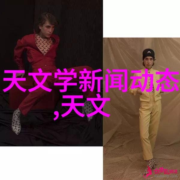 集成IC芯片电子设备的智慧核心