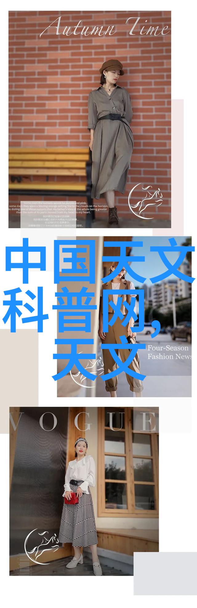 重庆财经学院在中国高等教育中占据什么地位