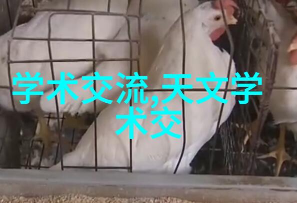 清洁高效水洗机设备的应用与创新