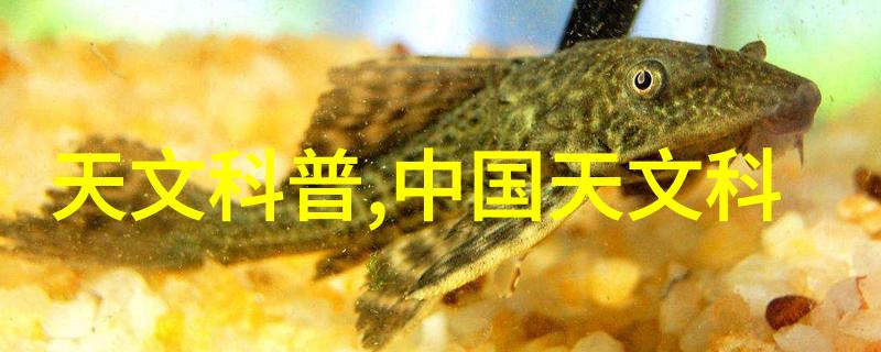 螺旋压榨机的高效节能应用螺旋压榨机在高效节能应用中的独特作用