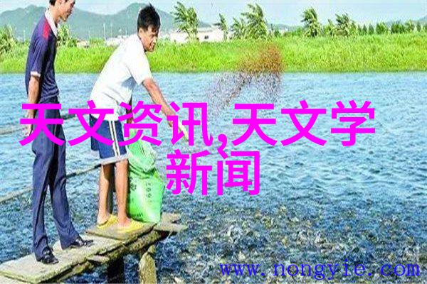 浴室地面艺术从规划到完工的装修之旅