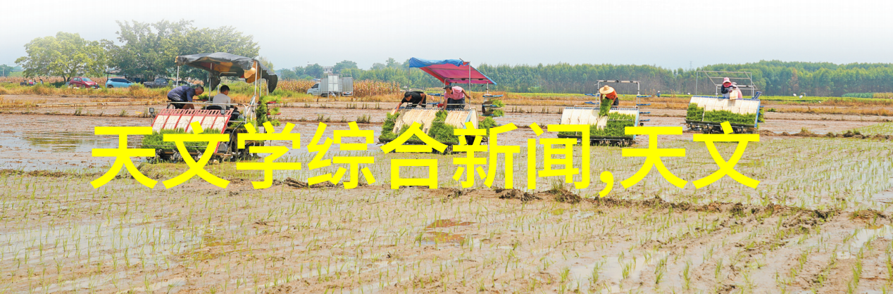 隐世净区探秘暗卫卫生间装修艺术
