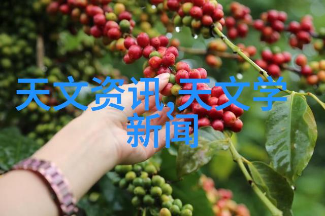 金属与石材幕墙工程技术规范构建现代建筑的坚固壁垒