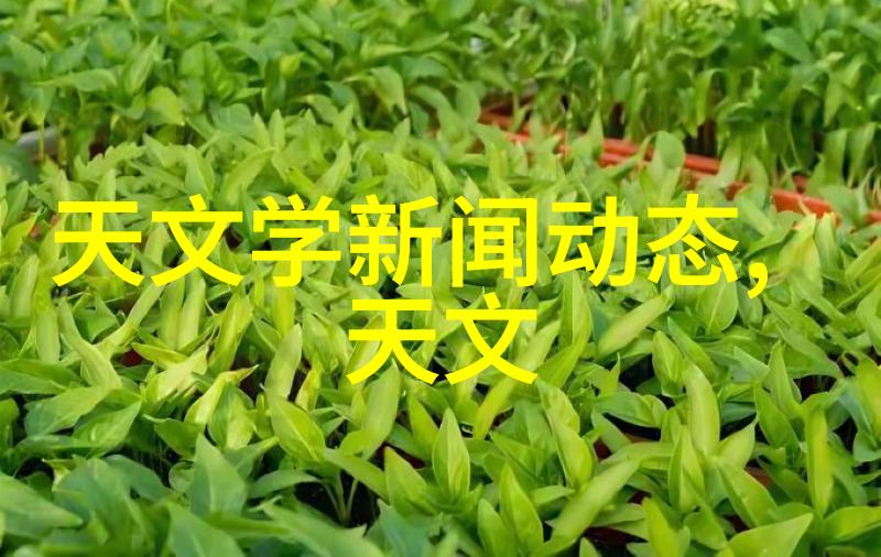 主题我是如何用空气消毒器让家里变得干净透亮的