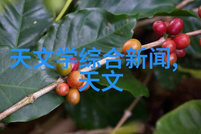 华为最新款智能手表Mate Watch RS华为Mate系列智能手表的高端型号
