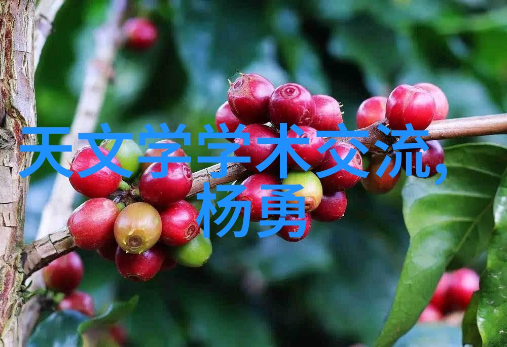 真空食品杀菌设备有哪些 - 高效无毒的食物保护与消毒新技术