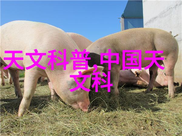 原料药生产设备高效混合罐冷却塔过滤系统