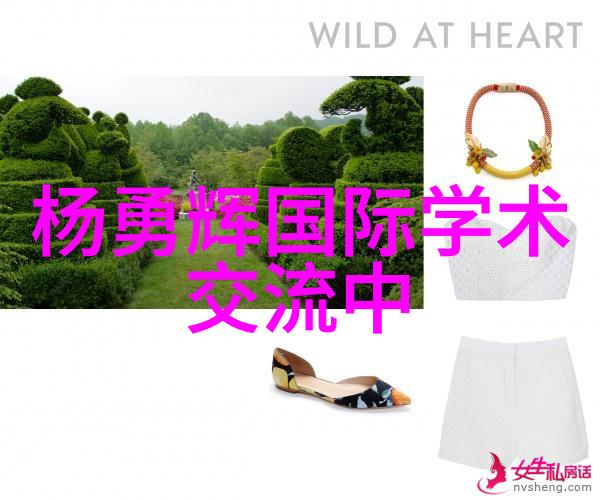 房屋装修设计图-精致空间布局从概念到实践的完美转换