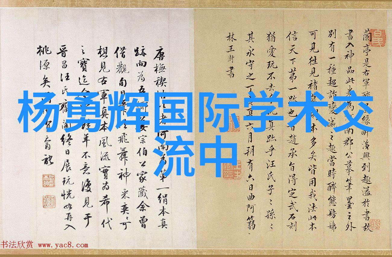 秘密启航新品上市之谜