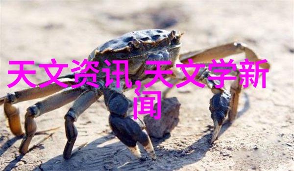 搪瓷反应釜-安全耐用的实验伙伴深入理解搪瓷反应釜的特点与应用