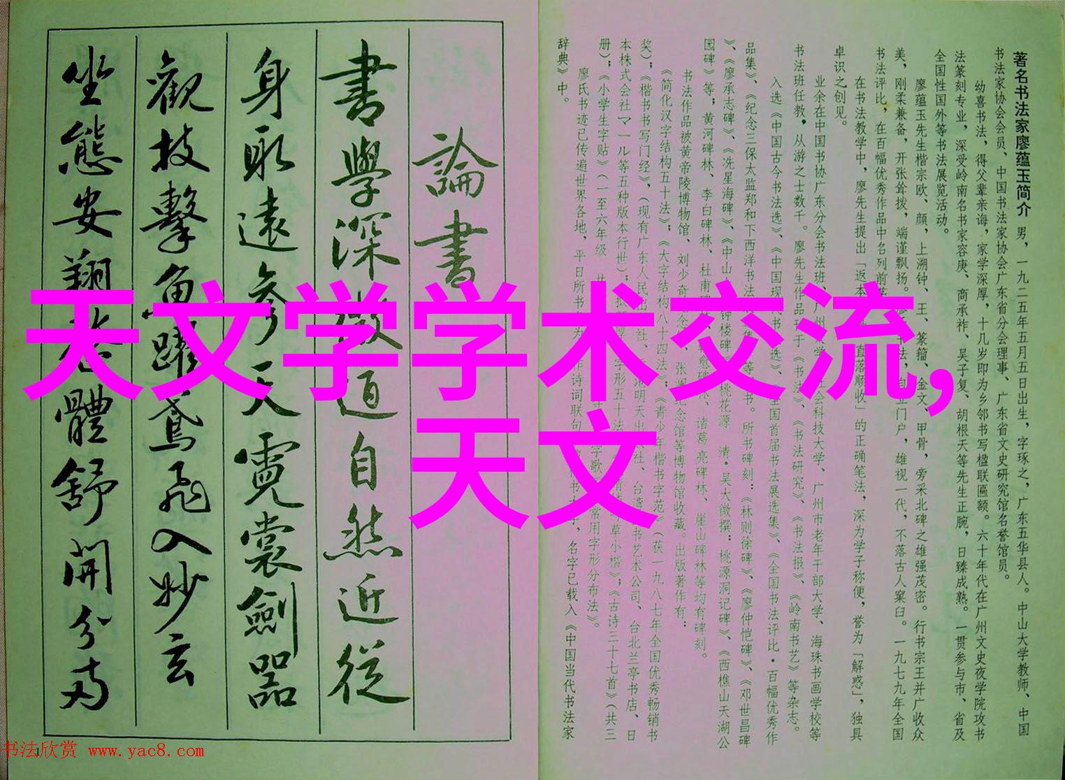 春季新品发布绽放色彩的时尚盛宴