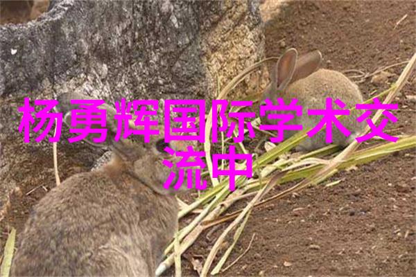 解析技术探索萍乡波纹填料行业的未来趋势