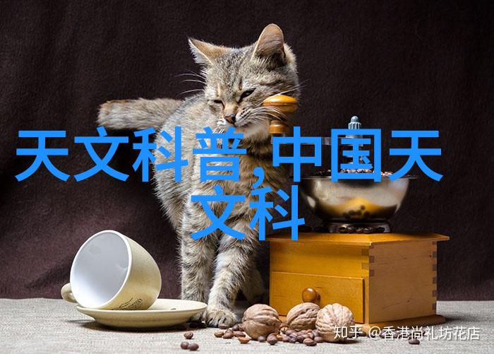 新冠病毒治疗药物推荐指南专家揭秘三大有效选择