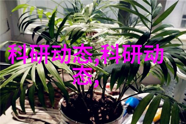 化工片剂机械-探讨现代化工片剂机械的发展与应用