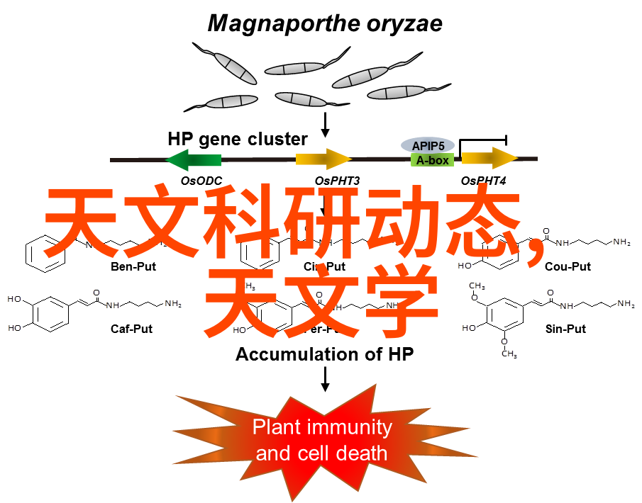 温馨小厨房装修效果图巧思点缀生活美学