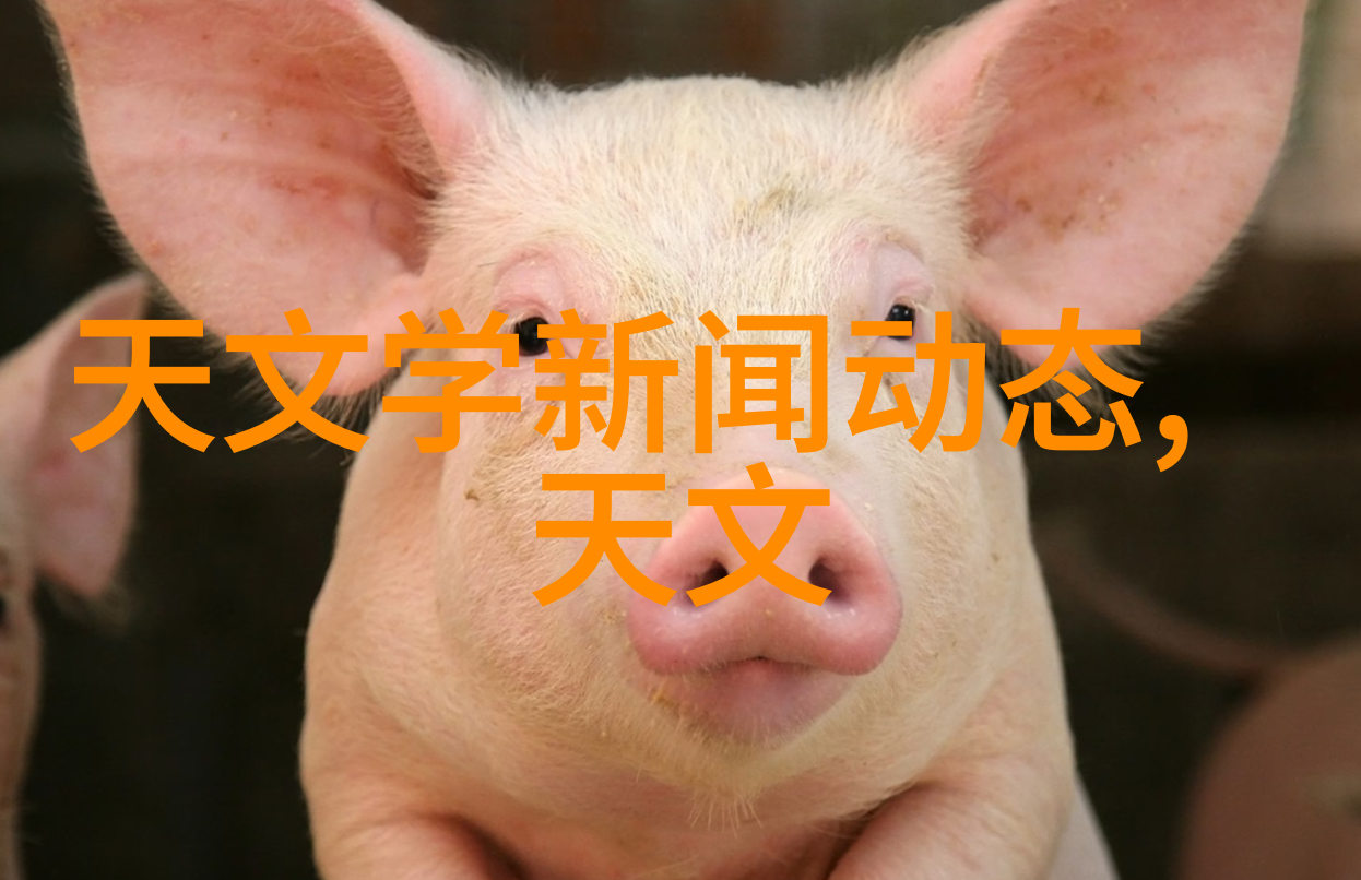 立式辊磨机-高效细化加工的关键设备