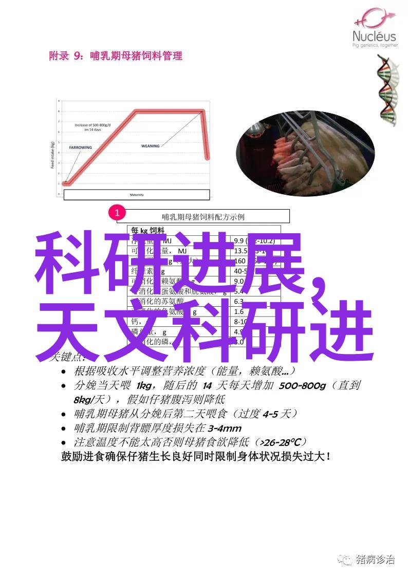 高压蒸汽灭菌锅规格型号专业级别的医疗设备