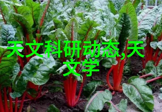 血泪代言 - 心碎的背影流浪儿童的血泪代言