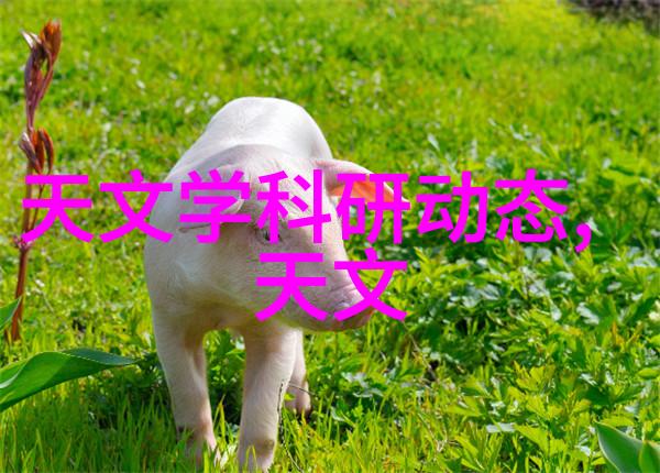 工程盛世水电大业的精算之谜