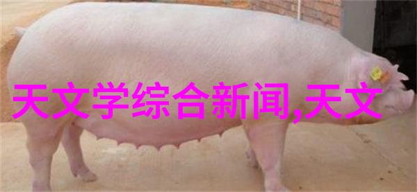 化工输送设备-管道输送技术与安全监控系统的完善