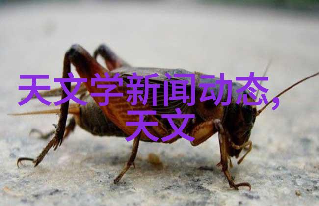 化工设备机械基础答案解析关键技术与应用实例