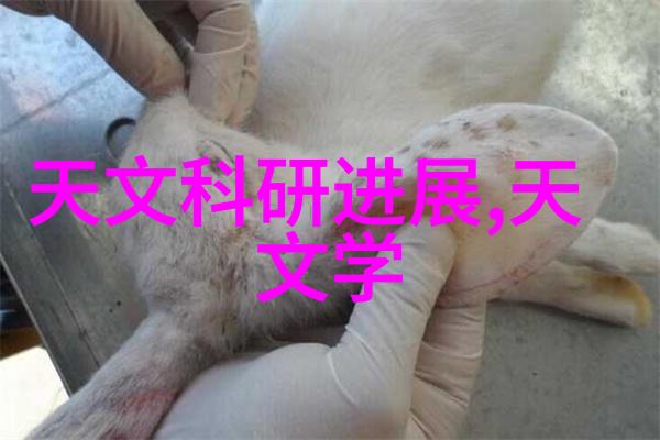 蛋白纯化仪-国产哪家好