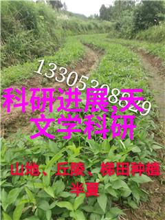 压力仪器测量极限的科学工具