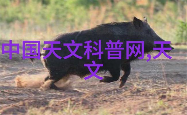 军工龙头股领航者与增长引擎