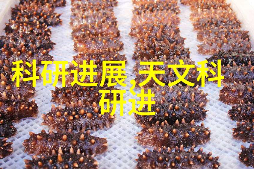 天堂里的老爷一个关于守护与信任的故事