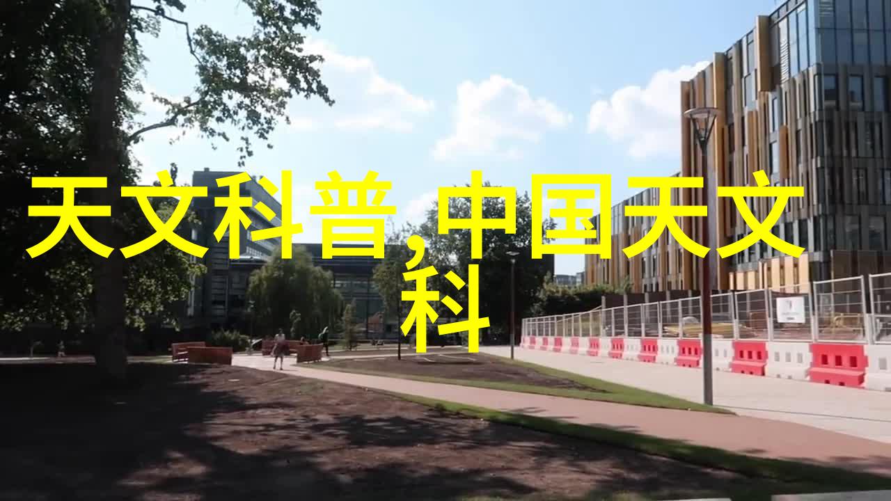 学长帮忙全文免费阅读的探索