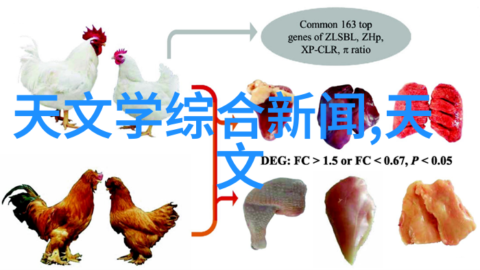 南京信息职业技术学院创意科技教育的殿堂