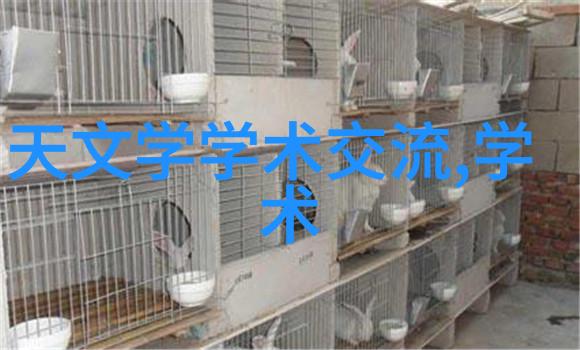 探究规整填料的长效性对其应用时间限度的理论与实证研究