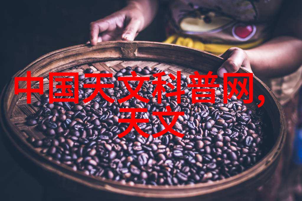 神秘色彩背后色选机的惊人秘密